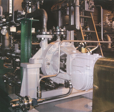 Gas Plant- API 610 Pumps